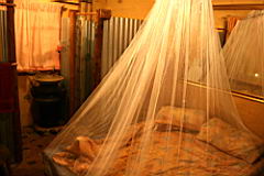 1303 sabie IMG_4287.JPG